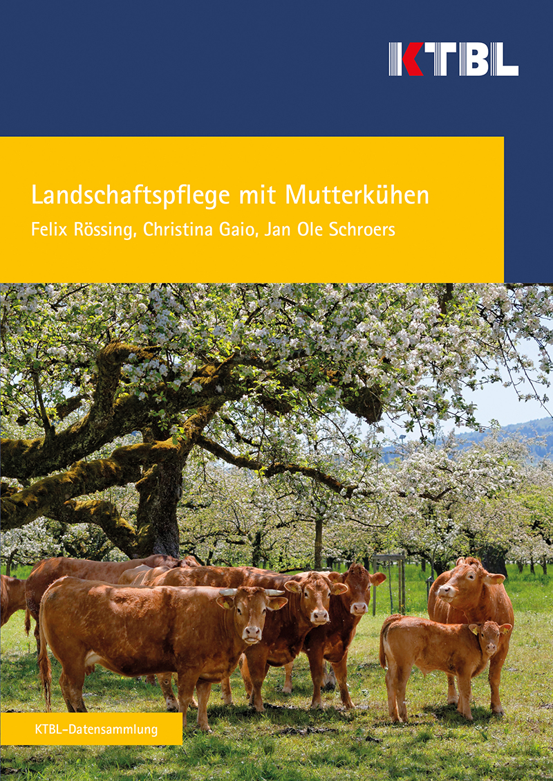 Landschaftspflege mit Mutterkühen